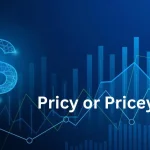 Pricy or Pricey? The Correct and Common Usage